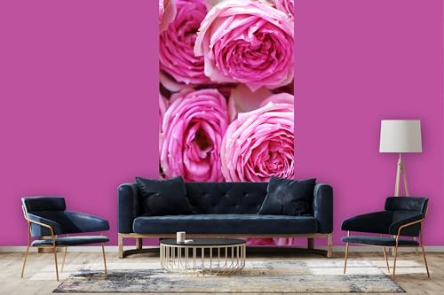 Glücksvilla - Fototapete, selbstklebend 120 x 250 cm (BxH) - div. Maße - Vlies-Tapete XXL moderne Wand-Deko - Rosen-Blüte Rosentraum 6 - Blumen Natur Garten Botanik Fotografie von Glücksvilla