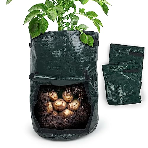 Gravidus 3 Stück Kartoffel Pflanzsack Ideal für mühelosen Gemüseanbau Perfekt für Kartoffeln, Radieschen und mehr - Maße: Ø 30 x 45 cm (3 Stück) von Gravidus