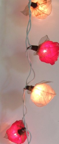 GURU SHOP Blüten LED Lichterkette 20 Stk. - Rose Rot/weiß, Skeletttblätter, 6x6x350 cm, Lichterketten von GURU SHOP