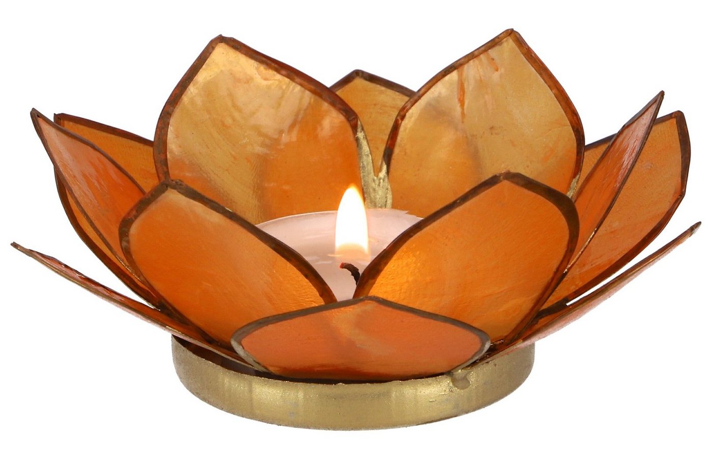 Guru-Shop Windlicht Lotus Teelicht Muschel 11*4 cm - orange von Guru-Shop