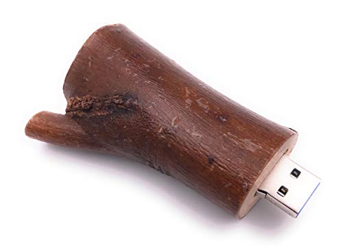 H-Customs Baum Stamm AST Zweig einzigartiger USB Stick 128 GB USB 3.0 von H-Customs