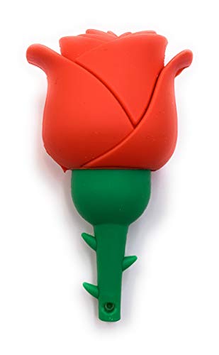 H-Customs Rote Rose Blume der Liebe einzigartiger USB Stick 128 GB USB 3.0 von H-Customs
