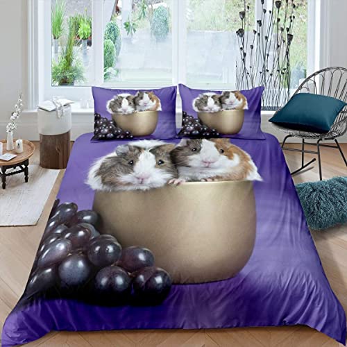 Bettwäsche 135x200 lila meerschweinchen Weich Mikrofaser Bettbezug Set Für Jungen Mädchen Einzelbett, Bettbezüge mit Reißverschluss und 1 Kissenbezug 80x80 cm von HAISHO