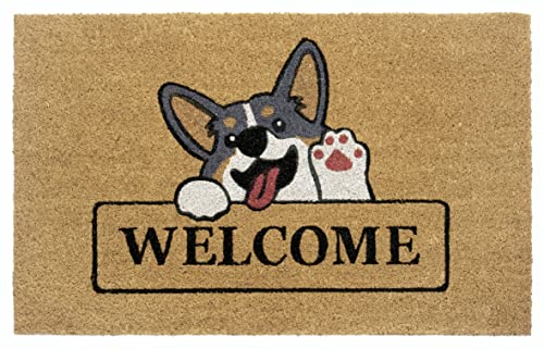 Hanse Home Kokos Fußmatte für Innen 45x75cm – Fussmatte Kokosmatte Schmutzfangmatte Hund Welcome Design, rutschfest für Eingangsbereich & überdachten Außenbereich – Natur von Hanse Home