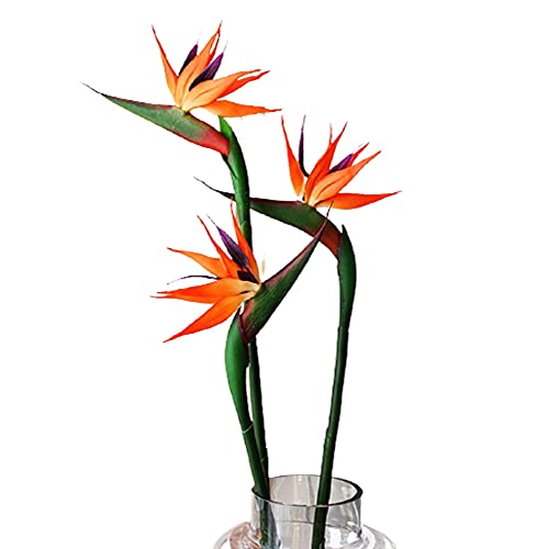 HAOSHICS Künstliche Himmel-Vogelblumen, künstliche Paradiesvogel, Strelitzie, Kunstseide, Pflanzen für Zuhause, Büro, Hochzeit, Tischdekoration (Orange klein) von HAOSHICS