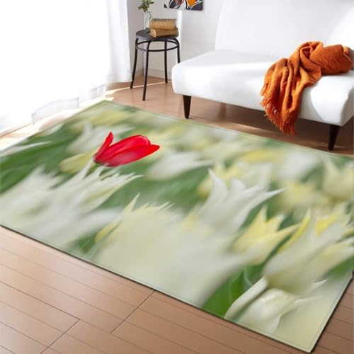 HATEGE Teppich Wohnzimmer 100 x 150 cm Waschbar Tulpe, Outdoor Teppiche Kurzflor 3D Garten, Carpet Flauschig Tulpe 978AZ von HATEGE