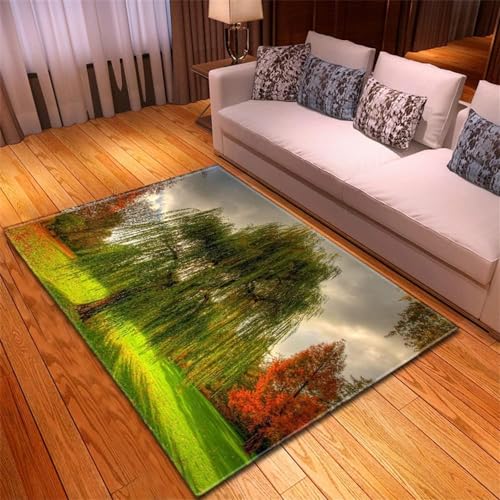 HATEGE Teppich Wohnzimmer 100 x 150 cm Waschbar Weide, Outdoor Teppiche Kurzflor 3D Bäume, Carpet Flauschig Weide 1769AZ von HATEGE