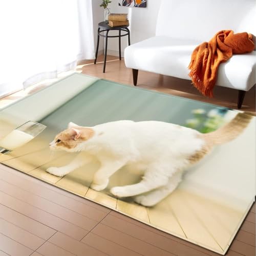 HATEGE Teppich Wohnzimmer 120 x 170 cm Waschbar Süße Katze, Outdoor Teppiche Kurzflor 3D Milch, Carpet Flauschig Süße Katze 986AZ von HATEGE