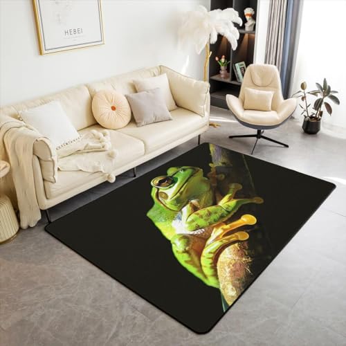 HATEGE Teppich Wohnzimmer 80 x 160 cm Waschbar Frosch, Outdoor Teppiche Kurzflor 3D Schwarz, Carpet Flauschig Frosch WS2272 von HATEGE