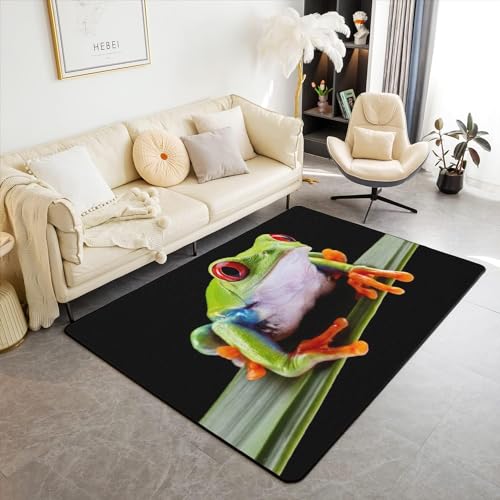 HATEGE Teppich Wohnzimmer 80 x 160 cm Waschbar Frosch, Outdoor Teppiche Kurzflor 3D Süße Tiere, Carpet Flauschig Frosch 1649AZ von HATEGE