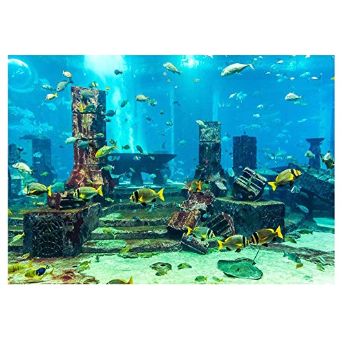 HEEPDD PVC Coral Aquarium Hintergrund Poster, Aquarium Wand Unterwasser Dekorationen Aufkleber Dekor Papier Frischhalte Aufkleber Aufkleber(122 * 46cm) von HEEPDD