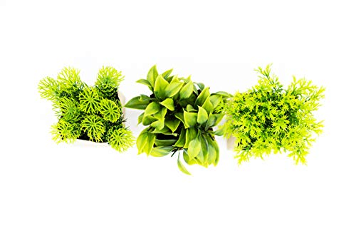 HEITMANN DECO - Kunstpflanze in Papiertüte, 3er Set, grün/braun - Ganzjahresdeko - ca. 10 x 10 x 15 cm von HEITMANN DECO