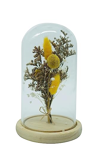 HEITMANN DECO Trockenblumen in Glasglocke, Natur/gelb, ca. 12x12x17 cm von HEITMANN DECO