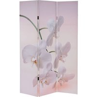 Foto-Paravent Bagheria, Paravent Raumteiler Spanische Wand 180x120cm MVG-zertifiziert Orchidee - multicolour von HHG