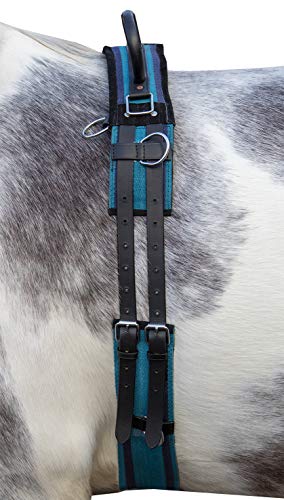 HKM Longiergurt Canvas mit Doppelgriff (Pony, Navy/Sky Blue) von HKM