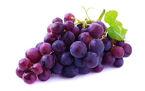 Traubenwurzel Trauben Weinreben Vitis Rhizom-vinifera Weinreben Kernlose Tafel von HMGJGFH