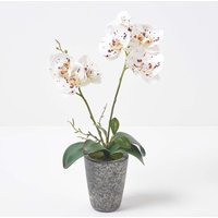 Künstliche weiße Phalaenopsis-Orchidee im grauen Zement-Topf, 46 cm - Weiß - Homescapes von HOMESCAPES