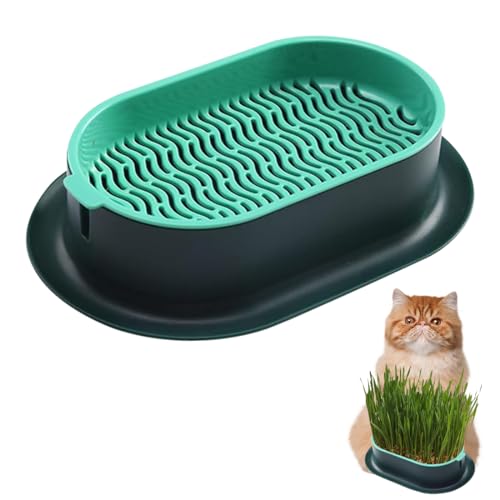 HONGECB Pflanzschalen Für Katzengras, Katzengras Schale, Katze Gras Pflanzer, Katzengras Pflanzkasten, Keimschale Für Anzucht Von Innen Oder Außen 18x12x4.5cm, Hydroponische Katze Gras Wachsen Kit von HONGECB