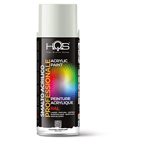 HQS Spraydose aus Acryl, Ral 9002 Weiß Grau von HQS High Quality Spray