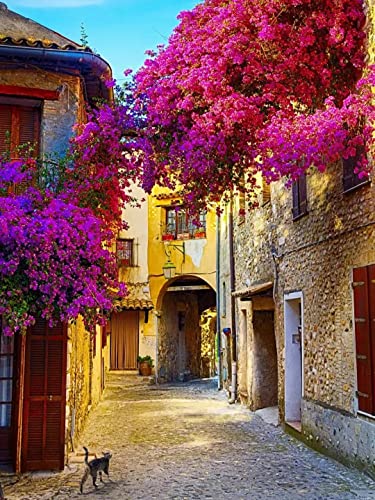 Haeran River Romantisches französisches Provence-Gemälde Farbgespräch Malen nach Zahlen DIY Einzigartiges Leinwand-Ölgemälde-Set Digitale Malerei von Haeran River