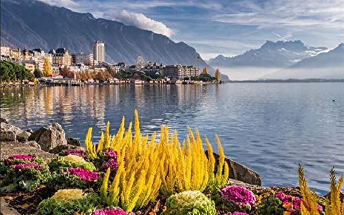 Malerei Montreux Genfer See Riviera Morgen Farbe Talk Malen Nach Zahlen Diy Einzigartiges Leinwand Ölgemälde Kit Digitale Malerei von Haeran River