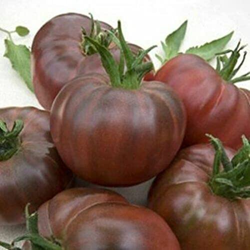Haloppe 100 Stück Tomatensamen für die Bepflanzung des Hausgartens, Tomatensamen pflanzen Gemüsesamen für den Außenbereich Schwarz & lila von Haloppe