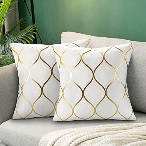 Hanrunsi Samt Kissenbezüge 40x40cm Dekorative Weiße Sofakissen 2er Set Weiche Kissenbezüge Golden Lackiert Dekorative Dekokissenbezüge Weiß für Couch Wohnzimmer Bett von Hanrunsi