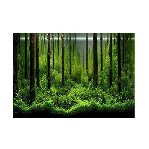 Aquarium Poster, Haofy Aquarium Hintergrund Dekoration mit Wald Muster, 3D PVC Selbstklebende Aquarium Tapete Aufkleber für Aquarium Dekoration, Unterwasser Aufkleber für Aquarien (61 * 41cm) von Haofy