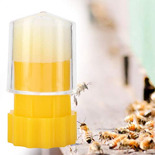 Haofy Hochwertige Königin -Bienen -Markierungsmarkierungskäfigflasche aus Premiummaterial für eine Sichere Imkerei Haofy Hochwertige Königin -Bienen -Markierungsmarkierungskäfigflasche aus Premiummaterial für eine Sichere Imkerei von Haofy