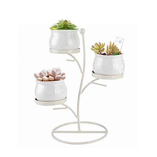 Hapivida Keramik Blumentopf Schmiedeeisen Display Rack Kombination Metall Pflanze Blumenständer für Home Decoration Plant Display(Weißes Becken + Weißes Gestell) von Hapivida