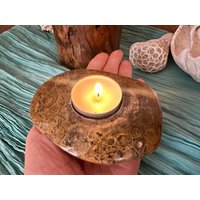 Fossil Coral Candle Light Wählen Sie Aus von HappyMinerals