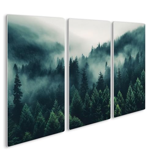 HEALANCY Bilder Natur - KOMPLETT AUFHÄNGFERTIG - Wandbilder Wohnzimmer - Deko Modern - Schlafzimmer - Kunstdruck Wanddeko Küche - Wald Nebel Grün Landschaft von Healancy Biomedical