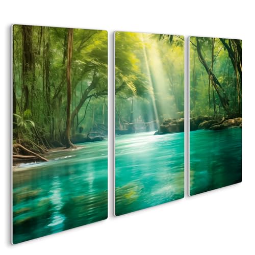 HEALANCY Bilder Natur Landschaft - KOMPLETT AUFHÄNGFERTIG - Wandbilder Wohnzimmer - Deko Modern - Schlafzimmer - Kunstdruck Wanddeko Küche - Wald Bäume von Healancy Biomedical