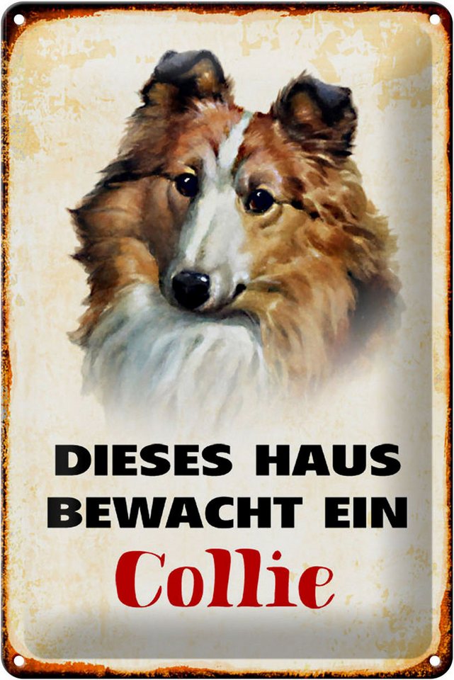 Hebold Metallschild Schild Blech 20x30cm - Made in Germany - Hund dieses Haus bewacht ein von Hebold