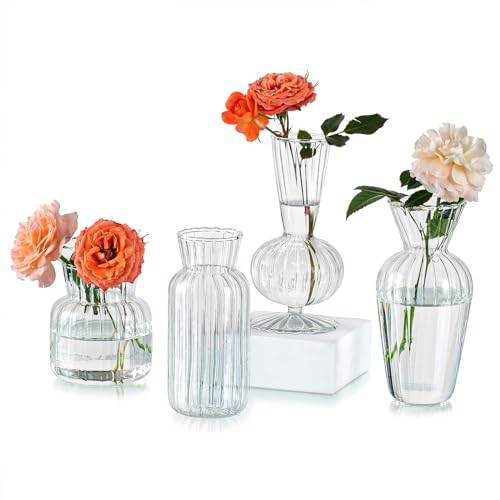 Hewory Kleine Vasen Für Tischdeko, 4 Stück Mini Vasen Set Vase Glas Blumenvase, Klare Glasvase Verschiedene Groessen Für Deko Wohnzimmer Modern Hochzeitsdeko Tisch von Hewory