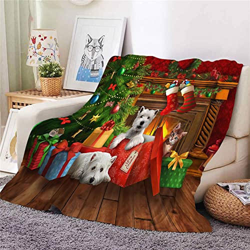Hixingo Kuscheldecke Flanell Kinder Fleecedecke Decke, Weihnachten 3D Drucken Flauschige Weich Warm Wohndecke für Sofa Bett, Dicke Sofadecke Couchdecke Tagesdecke (150x200cm von Hixingo