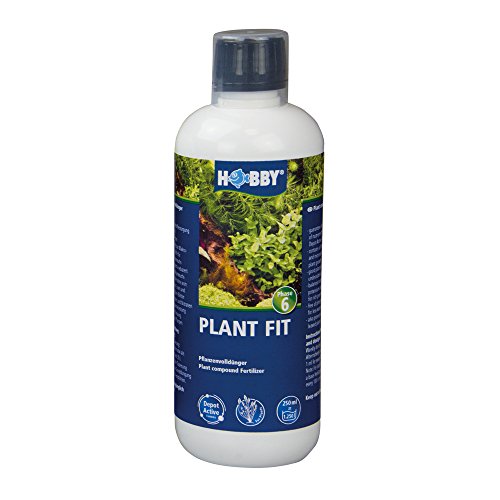 Hobby 41064 Plant Fit 500 ml von Hobby