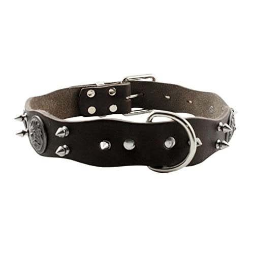 Hohopeti Haustierhalsband Haustier Pu Halsband Hundehalsband Hundehalsband Haustierzubehör Hundehalskette von Hohopeti