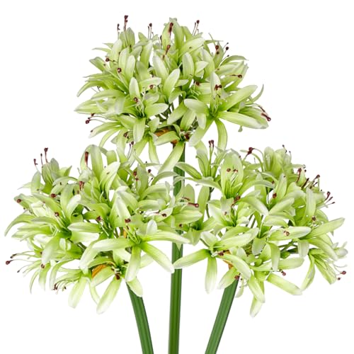 Hollyone 3PCS künstliche Agapanthus Blumen für Dekoration, 30'' Long Stem Real Touch Fake afrikanischen Lilie Blumen grün, Faux Seide Lilie Blume für Frühling Home Office Hochzeit Tisch Centerpiece von Hollyone