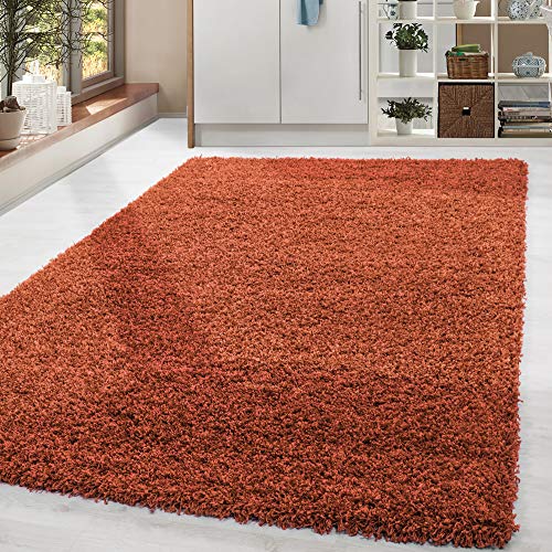 HomebyHome Shaggy Hochflor Wohnzimmerteppich Läufer 80 x 150 cm Terra - Flur Teppich Flauschig, Modern, Plüsch und Extra Weich - Ideal als Bettvorleger im Schlafzimmer und als Küchenläufer von HomebyHome