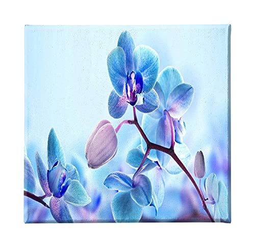 Homemania Wandbild, Blumen, Natur, für Wohnzimmer, Schlafzimmer, mehrfarbig, 60 x 3 x 60 cm, -HM20KNV60 x 60 – 195, Polyester, Holz von Homemania