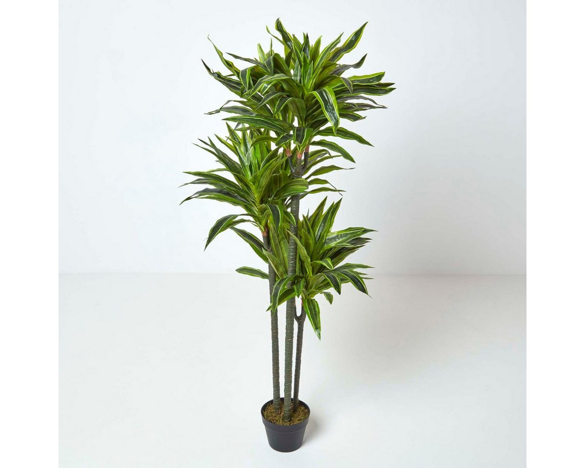 Kunstbaum Dracaena Reflexa (Drachenbaum) Kunstpflanze im Topf - 150 cm, Homescapes, Höhe 150 cm von Homescapes