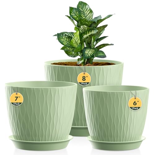 Homeuouz 3 Packs Blumentopf mit Bewässerungssystem, 20.3cm/17.8cm/15.2cm Pflanzentopf mit Bewässerungssystem, Übertopf mit Untersetzer, Blumentöpfe Set Ideal für Innen und Balkongärten, Hellgrün Homeuouz 3 Packs Blumentopf mit Bewässerungssystem, 20.3cm/17.8cm/15.2cm Pflanzentopf mit Bewässerungssystem, Übertopf mit Untersetzer, Blumentöpfe Set Ideal für Innen und Balkongärten, Hellgrün von Homeuouz