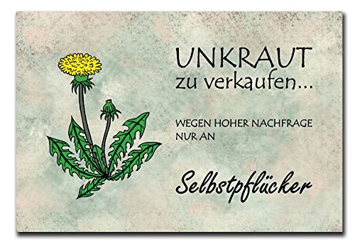 Homeyourself Hochwertiges Metallschild 30 x 20 cm aus Alu Verbund Unkraut Deko Schild Wandschild von Homeyourself