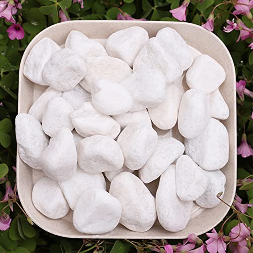 Hoobao Dekorative Steine,Marmorkies Carrara Kies,Kieselsteine Weiße Kies Dekosteine Naturstein Zierkies Kiesel,für Blumentöpfe Aquarium Garten Balkon,Grünpflanzen Mini Garten, 500g von Hoobao