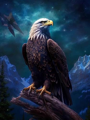 Hoobee 5D Diamond Painting Adler, Diamond Painting Bilder Vogel, Diamond Painting Erwachsene Tier, Vollbohrer Stickerei Kreuzstich Kunst Handwerk für Zuhause Wanddekoration (30×40 cm)-9 von Hoobee