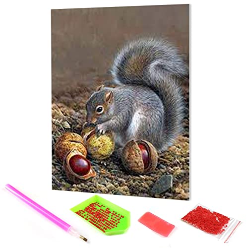 Hoobee 5D Diamond Painting DIY Set Eichhörnchen, Diamond Painting Bilder Tier, Vollbohrer Stickerei Kreuzstich Kunst Handwerk für Zuhause Wanddekoration (30×40 cm) von Hoobee