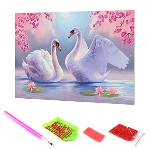 Hoobee 5D Diamond Painting DIY Set Schwan, Diamond Painting Bilder Tier, Vollbohrer Stickerei Kreuzstich Kunst Handwerk für Zuhause Wanddekoration (30×40 cm) von Hoobee