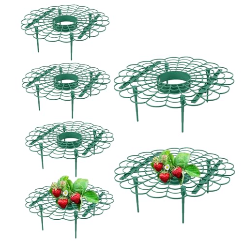 Hperu Erdbeerträger 6pcs Erdbeer -Pflanze -Protektoren 11,81 Zoll dehnbarer Pflanzenstützständer mit 4 Beinen Erdbeeranbau Racks Vermeiden von Hperu