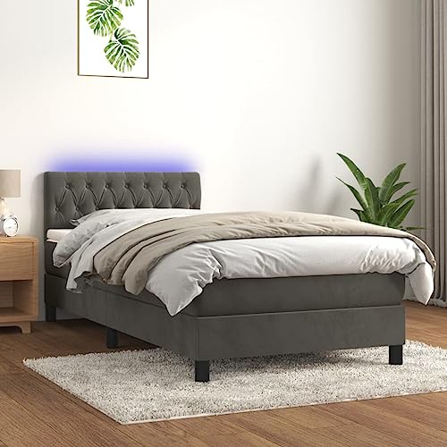 IKAYAA Boxspringbett mit Matratze LED Bett 100x200 mit matratze und lattenrost Boxspringbett 100x200 mit matratze Bett komplett mit Kopfteil Samt-Dunkelgrau-100 x 200 cm IKAYAA Boxspringbett mit Matratze LED Bett 100x200 mit matratze und lattenrost Boxspringbett 100x200 mit matratze Bett komplett mit Kopfteil Samt-Dunkelgrau-100 x 200 cm von IKAYAA